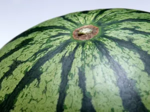 1600水果 第五辑_16