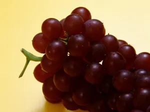 1600水果 第四辑_4