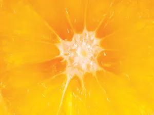 1600水果 第一辑_14