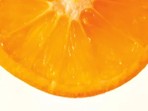1600水果 第一辑_15