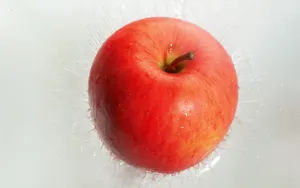 动感水果 第一辑_4