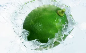动感水果 第一辑_9