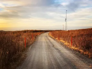秋天道路风景图片第1张