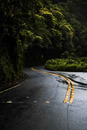 雨后柏油马路图片第1张