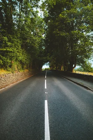 一条笔直的公路图片