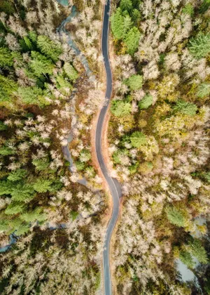 航拍蜿蜒公路摄影图