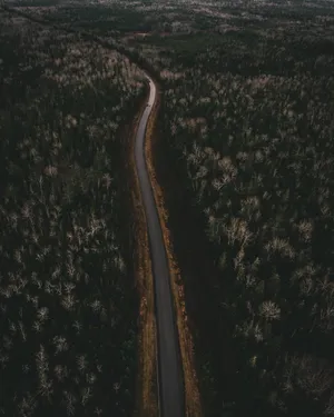 蜿蜒公路航拍图_1