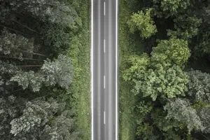 森林里的公路风景图片_1