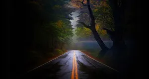 黑暗公路图片_1
