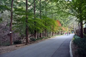 山林公路图片
