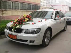 婚礼花车图片_1