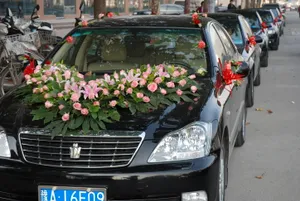 婚车车队图片第1张