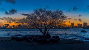 高清日本东京夜景图片_2