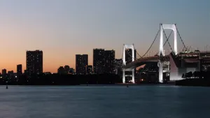 高清日本东京夜景图片_10