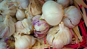高清大蒜图片大全_5