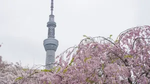 东京晴空塔图片_9