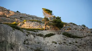 法国普罗旺斯风景图片_9