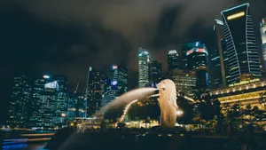 新加坡高清夜景图片_7