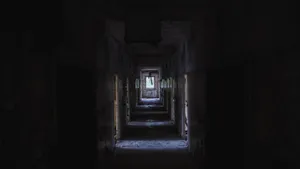 昏暗的废弃的房子图片_3