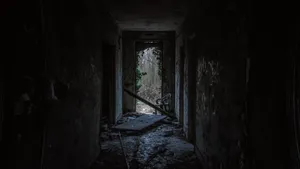 昏暗的废弃的房子图片_5