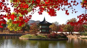 韩国景福宫图片_5