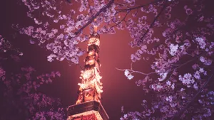 日本东京塔夜景图片_5