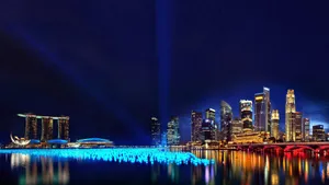 新加坡滨海湾花园夜景图片_4