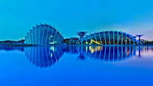 新加坡滨海湾花园夜景图片_5