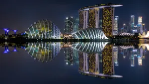 新加坡滨海湾花园夜景图片_7