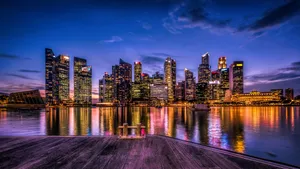 新加坡滨海湾花园夜景图片_8
