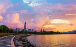 深圳湾风景图片壁纸_9