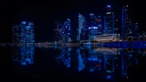 法国巴黎夜景图片壁纸_9