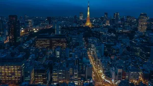 法国巴黎夜景图片壁纸_10
