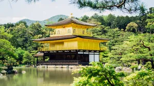 佛教建筑寺庙图片_8