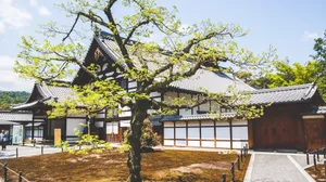 佛教建筑寺庙图片_9
