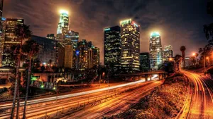 璀璨城市灯光夜景图片_7