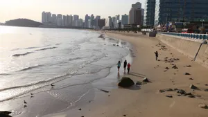 韩国釜山风光壁纸_8
