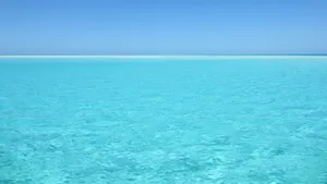 蓝色大海的图片_8