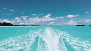 蓝色大海的图片_9