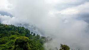 大自然风景壁纸_10