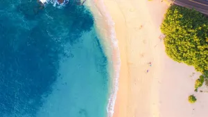 优美的大海海滩风景_12