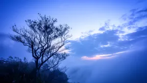 好看的高清风景图片大全_4