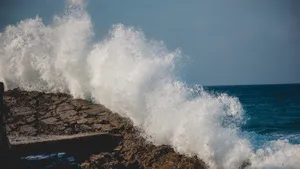 高清大海浪花图片_2