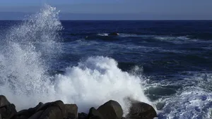 高清大海浪花图片_4