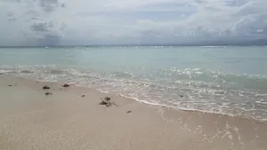 沙滩海浪图片大全_2