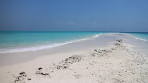 沙滩海浪图片大全_4