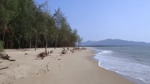 沙滩海浪图片大全_8