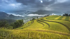 秋季梯田风景图片_2