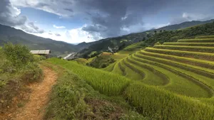 秋季梯田风景图片_3