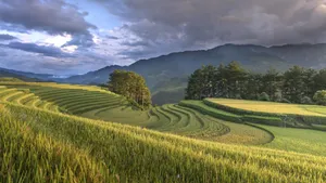 秋季梯田风景图片_4